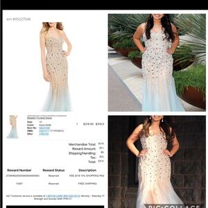 Terani Couture Aqua Beaded Gown